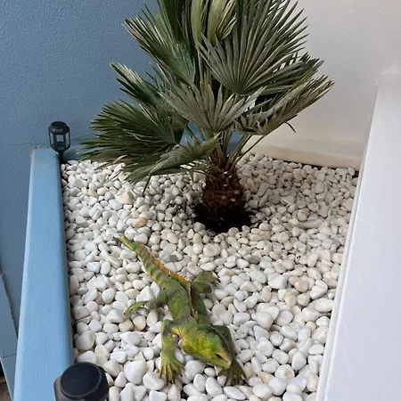 Air Conditioning, Private Parking And Fully Equipped Kitchen In In Golf Del Sur, Tenerife 아파트호텔 3*